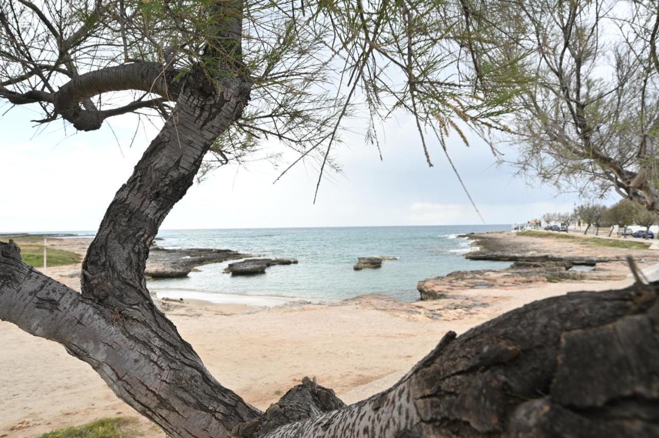 Villa Adua Torre Santa Sabina Kültér fotó