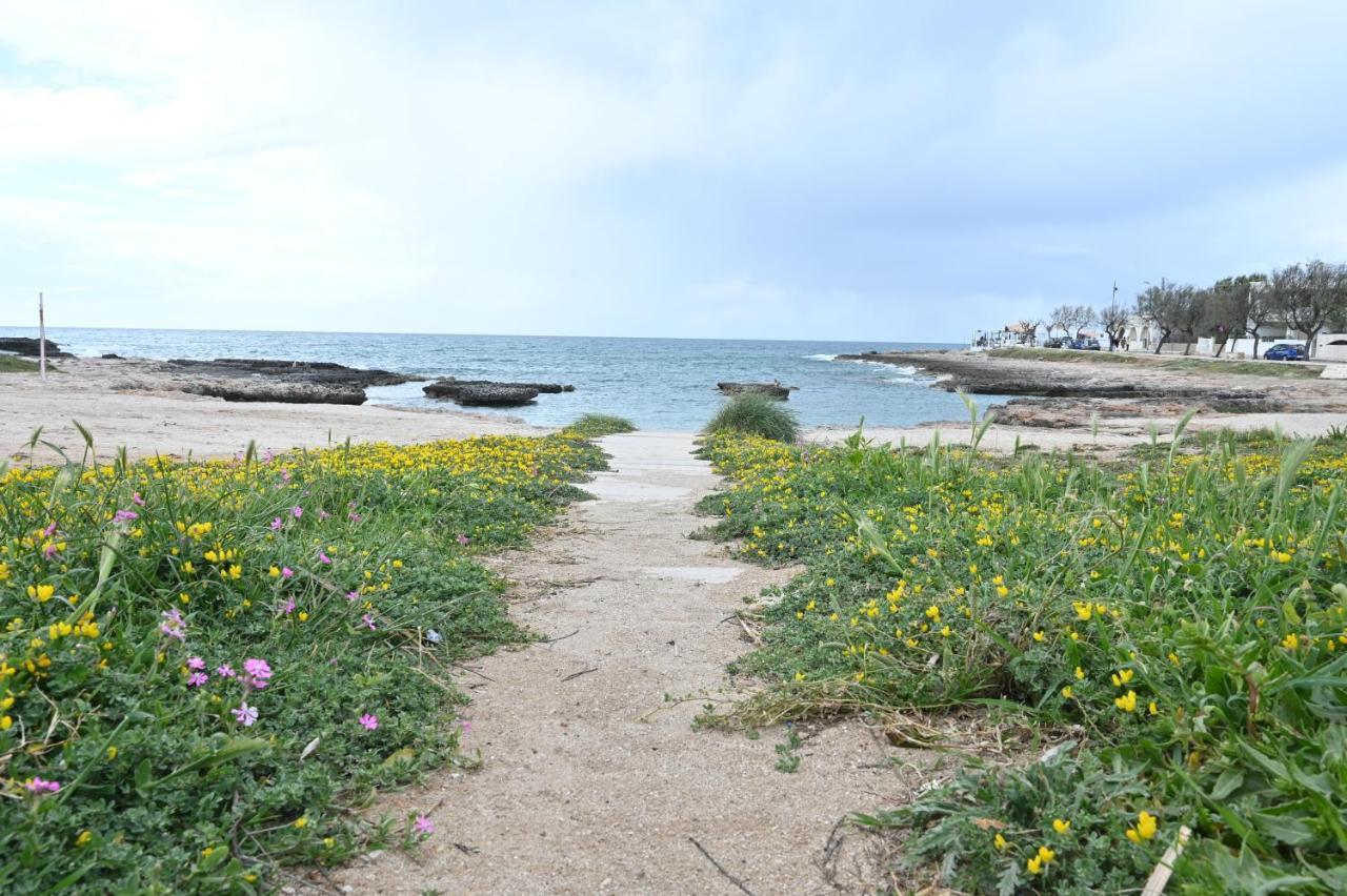 Villa Adua Torre Santa Sabina Kültér fotó